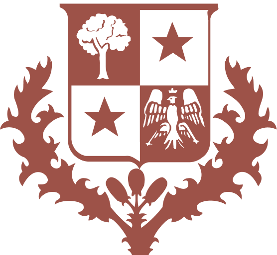 Christmas Tree Topper